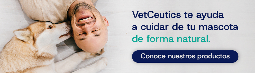 Vitaminas para perros