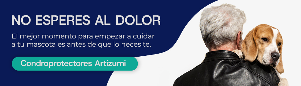 Articulaciones perros