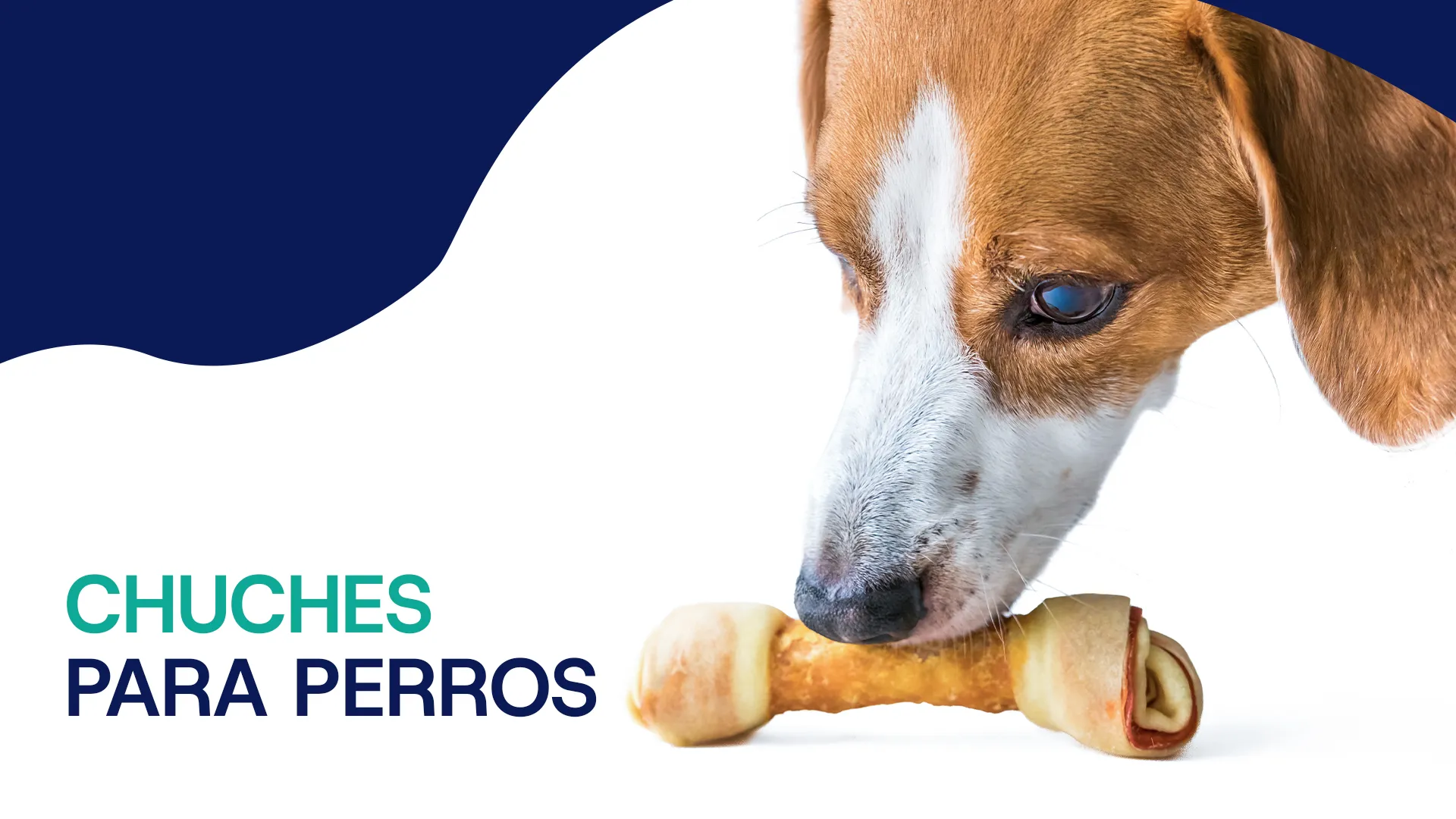 chuches para perros