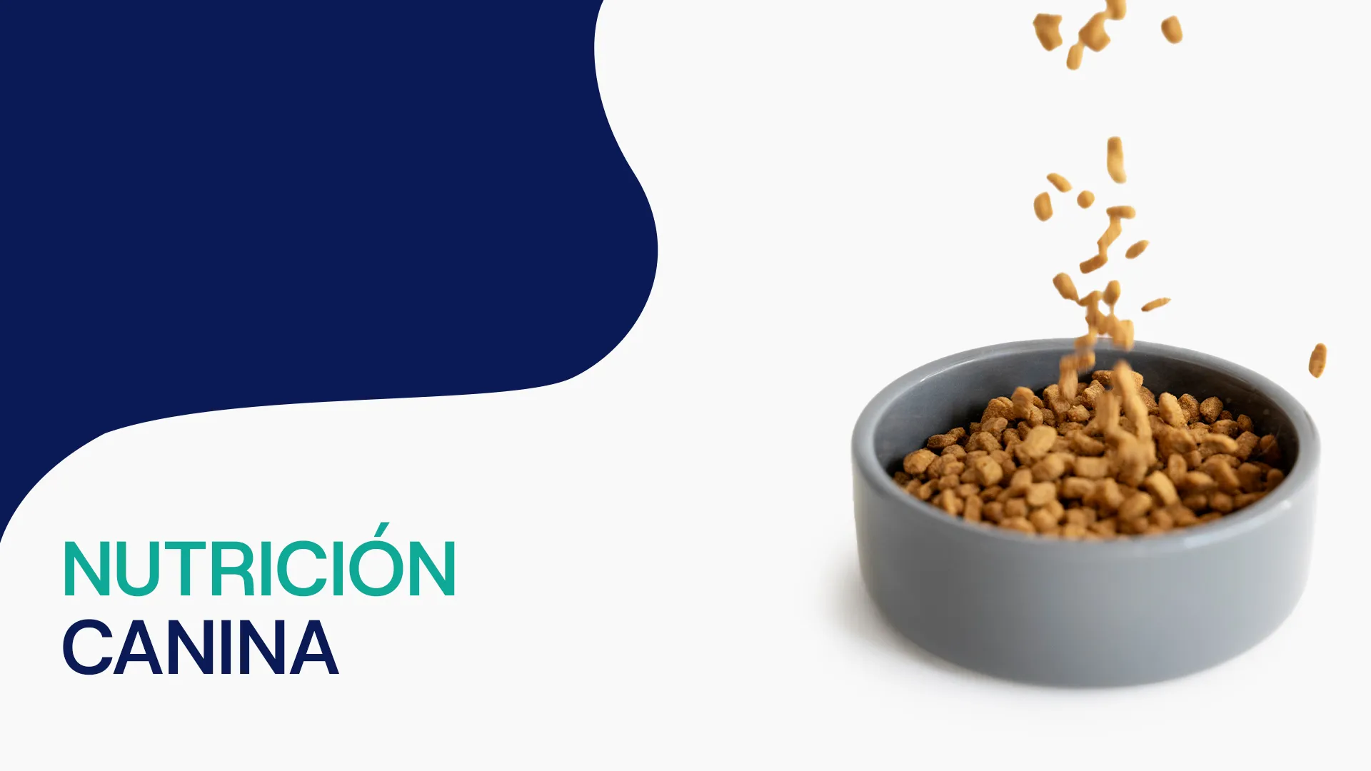 Nutrición canina